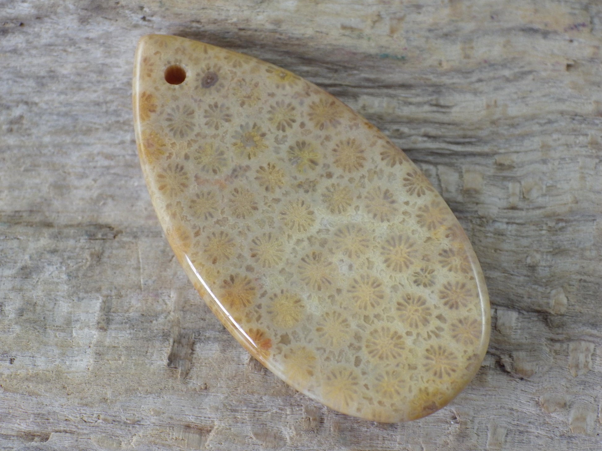 Fossil Coral Jasper Teardrop Pendant 35x16mm A4