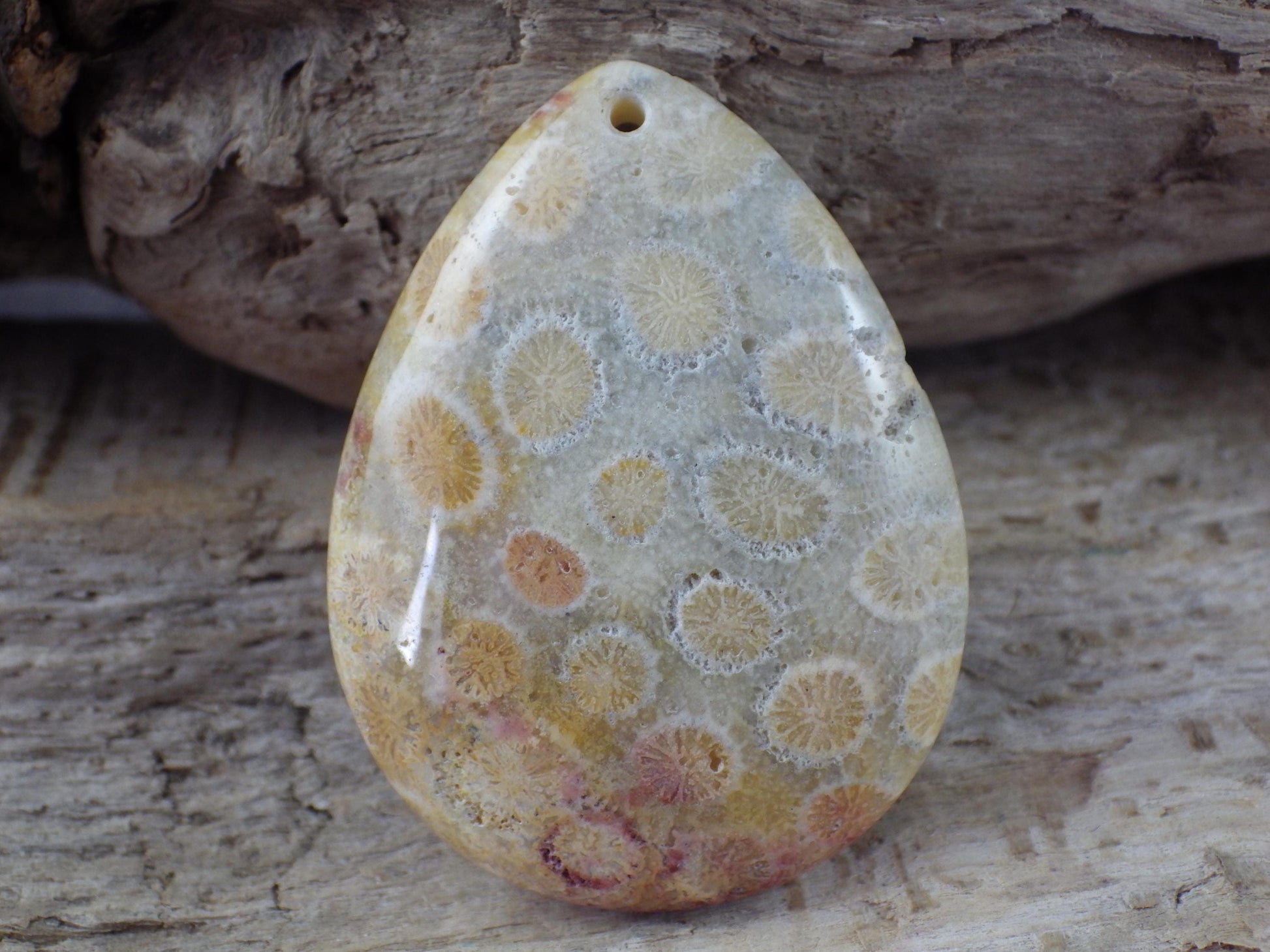 Fossil Coral Jasper Semi Precious Gemstone Pendant 43x31mm, Top Drilled Teardrop Cabochon, Nature Lovers Gift, Polished Loose Stone J1