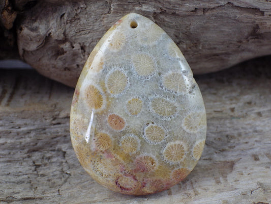 Fossil Coral Jasper Semi Precious Gemstone Pendant 43x31mm, Top Drilled Teardrop Cabochon, Nature Lovers Gift, Polished Loose Stone J1