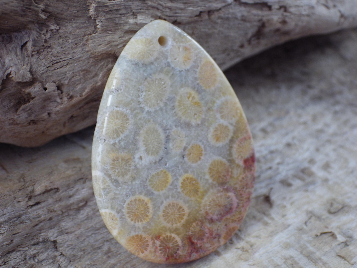 Fossil Coral Jasper Semi Precious Gemstone Pendant 43x31mm, Top Drilled Teardrop Cabochon, Nature Lovers Gift, Polished Loose Stone J1