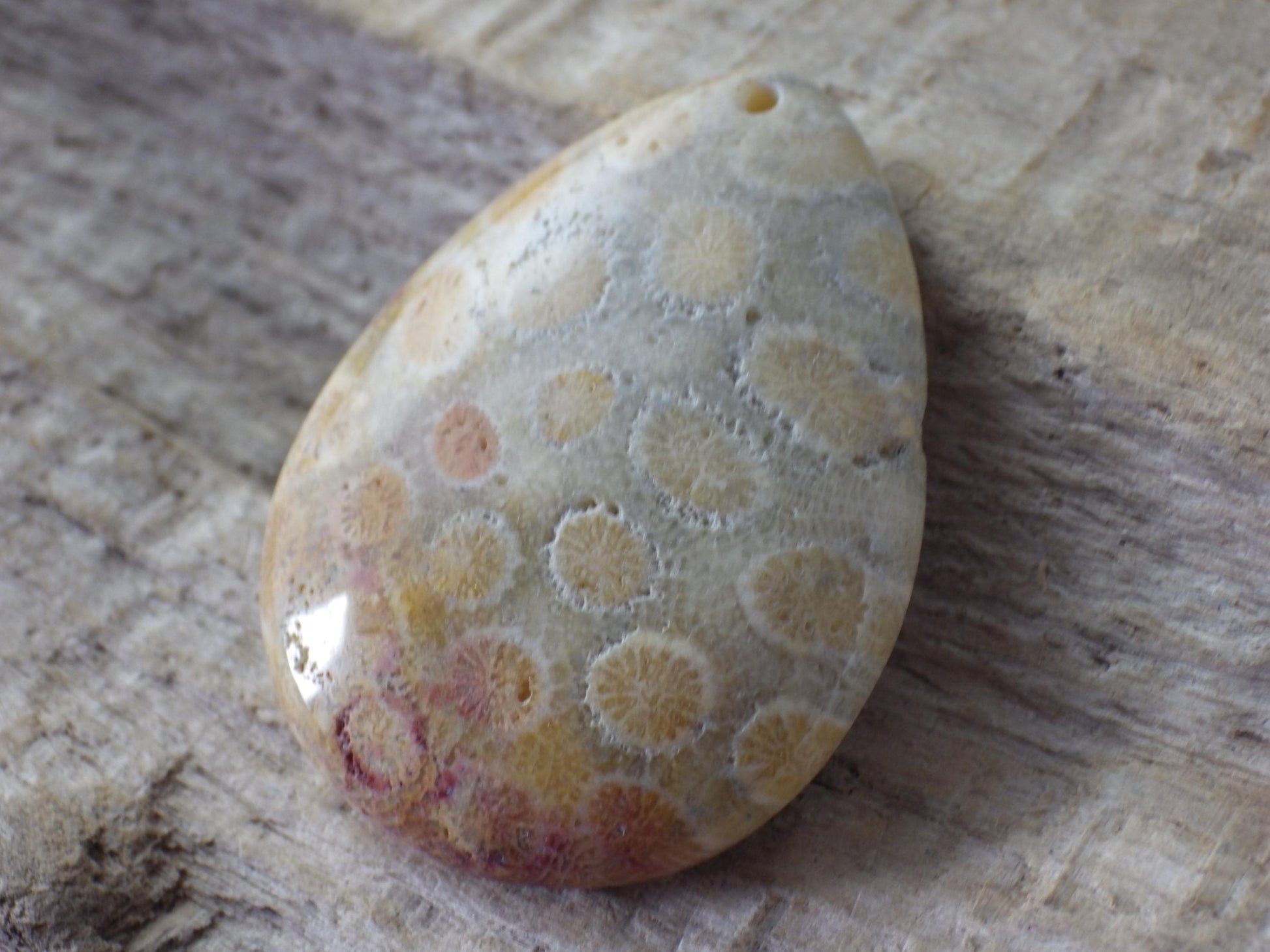 Fossil Coral Jasper Semi Precious Gemstone Pendant 43x31mm, Top Drilled Teardrop Cabochon, Nature Lovers Gift, Polished Loose Stone J1