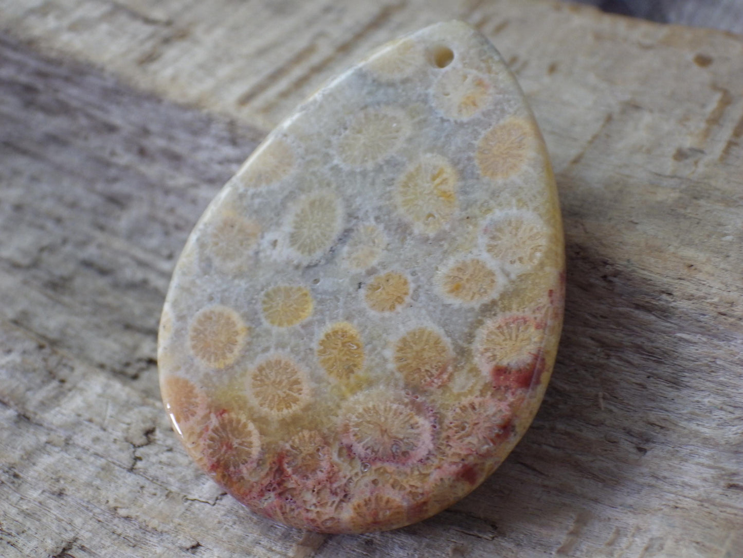 Fossil Coral Jasper Semi Precious Gemstone Pendant 43x31mm, Top Drilled Teardrop Cabochon, Nature Lovers Gift, Polished Loose Stone J1
