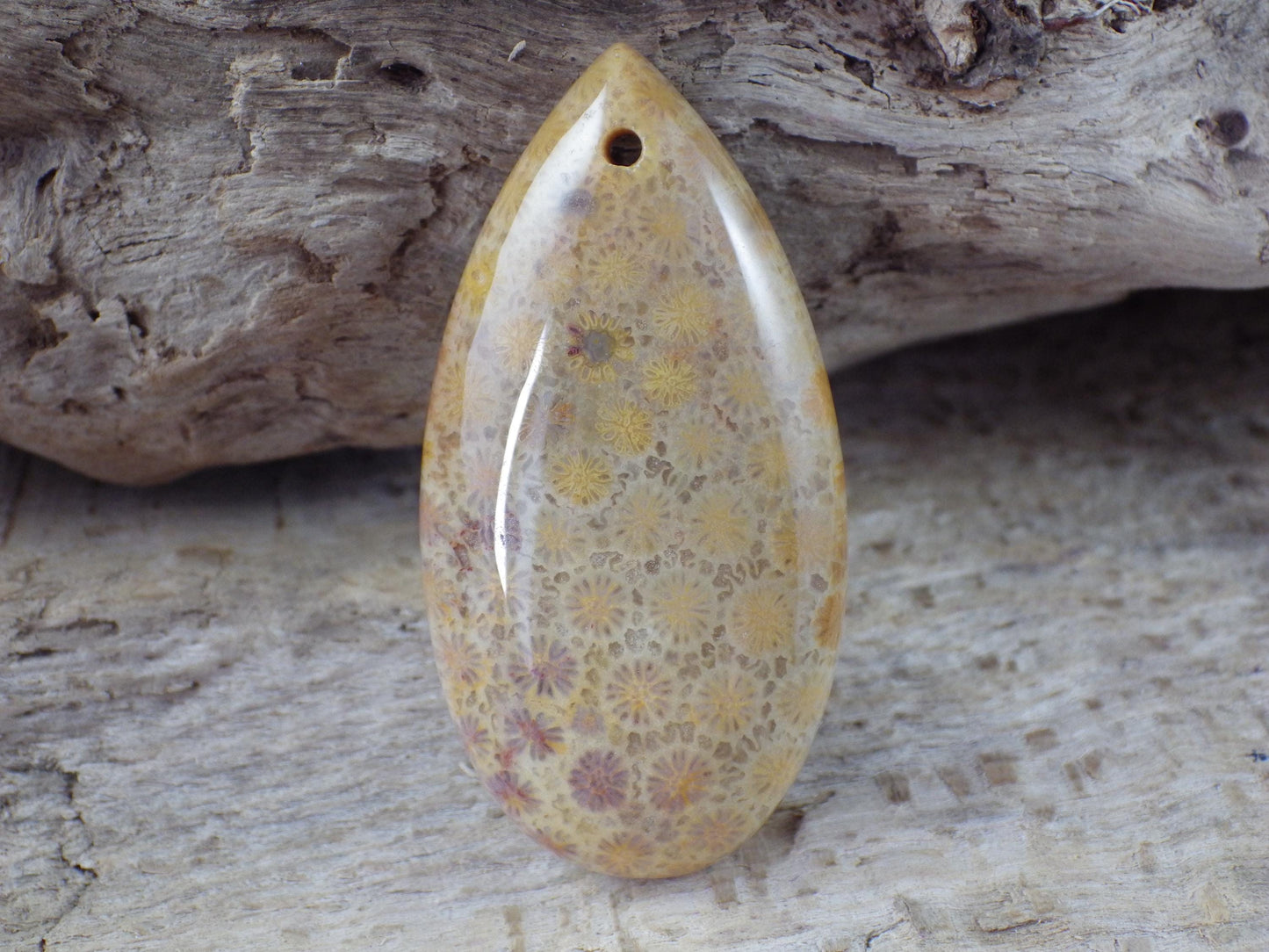 Fossil Coral Jasper Teardrop Pendant 35x16mm A4