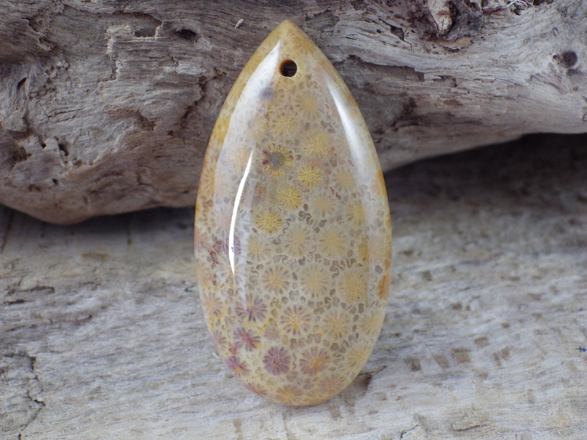 Fossil Coral Jasper Teardrop Pendant 35x16mm A4