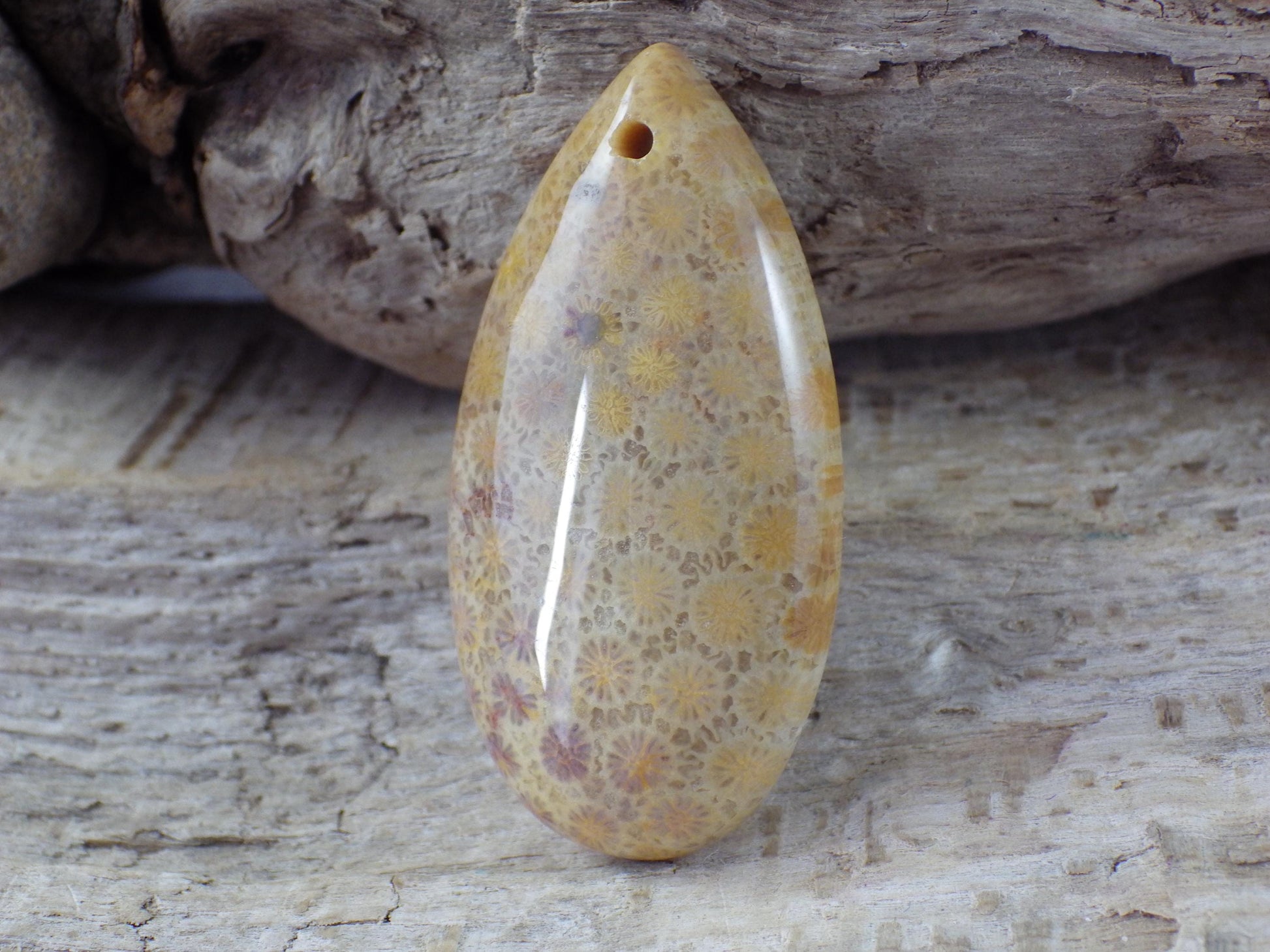 Fossil Coral Jasper Teardrop Pendant 35x16mm A4