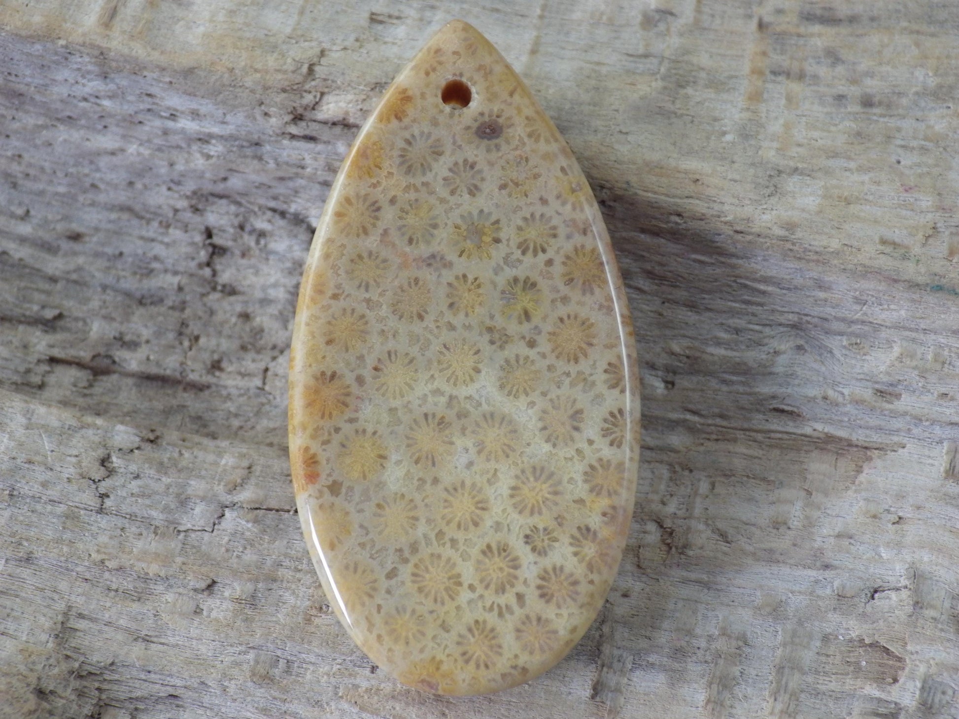 Fossil Coral Jasper Teardrop Pendant 35x16mm A4
