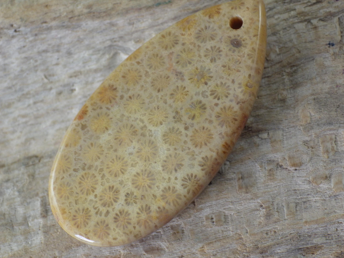 Fossil Coral Jasper Teardrop Pendant 35x16mm A4