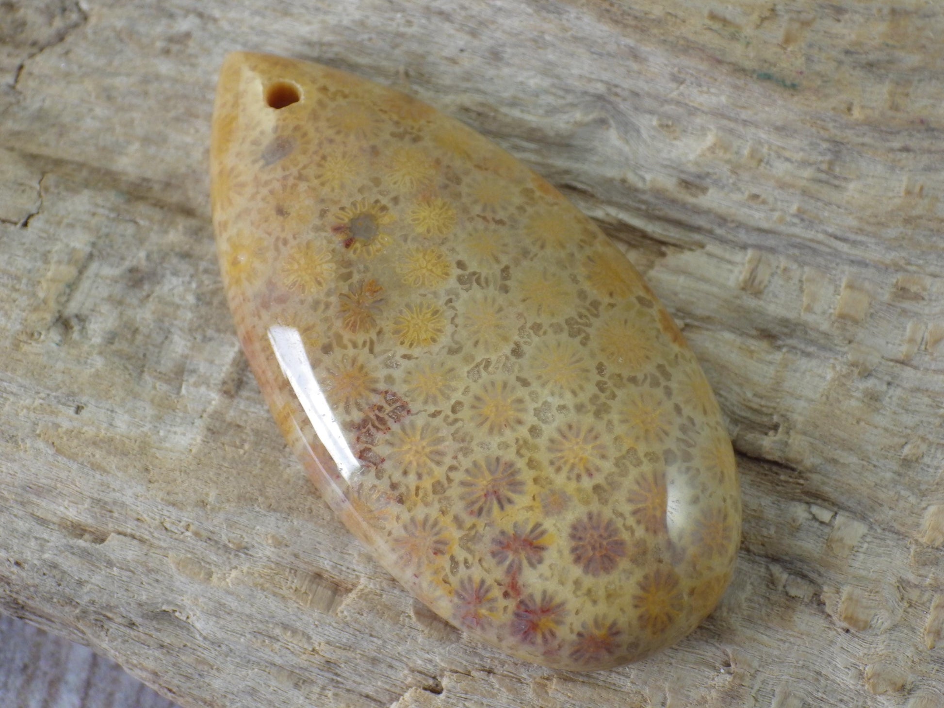 Fossil Coral Jasper Teardrop Pendant 35x16mm A4