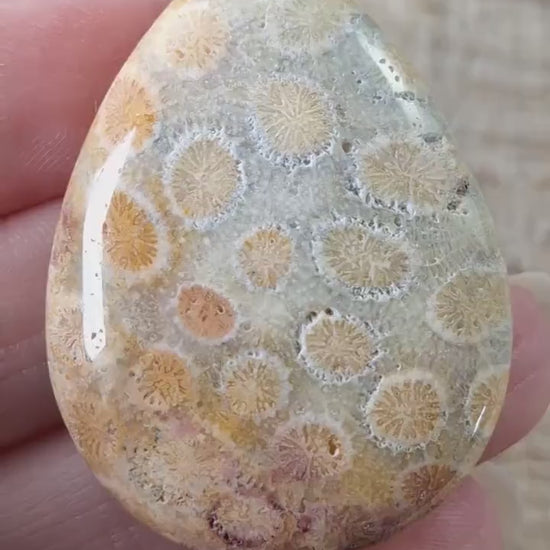 Fossil Coral Jasper Semi Precious Gemstone Pendant 43x31mm, Top Drilled Teardrop Cabochon, Nature Lovers Gift, Polished Loose Stone J1
