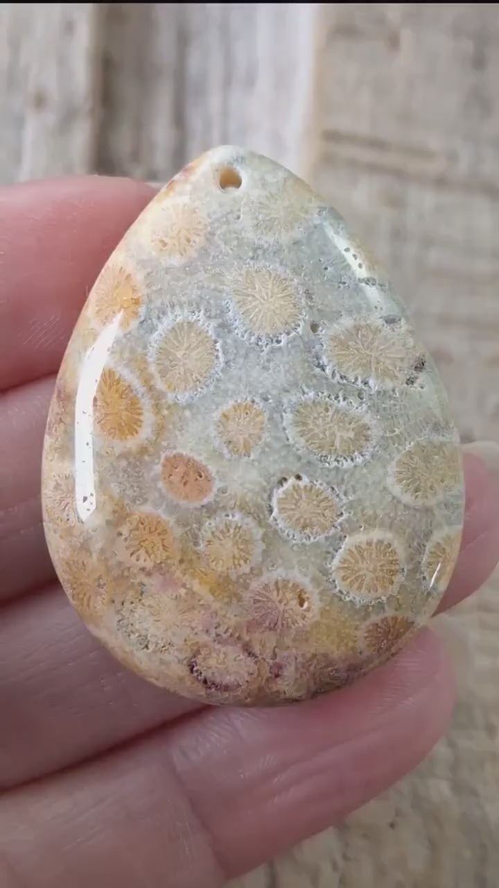 Fossil Coral Jasper Semi Precious Gemstone Pendant 43x31mm, Top Drilled Teardrop Cabochon, Nature Lovers Gift, Polished Loose Stone J1
