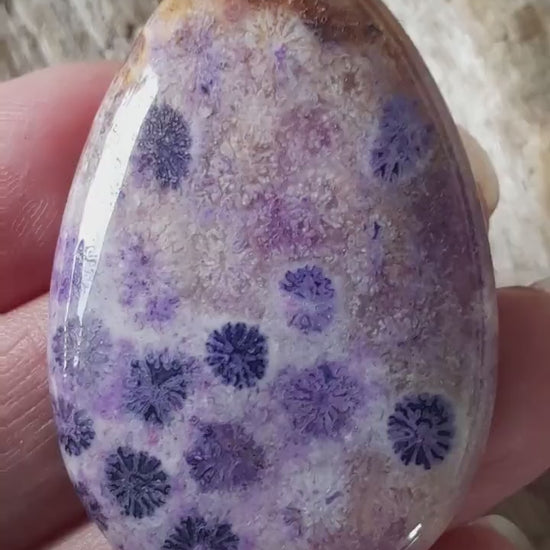Purple Fossil Coral Jasper Pendant 50x32mm, Semi Precious Gemstone Teardrop, Loose Designers Stone, Jewelry Making Supplies H8