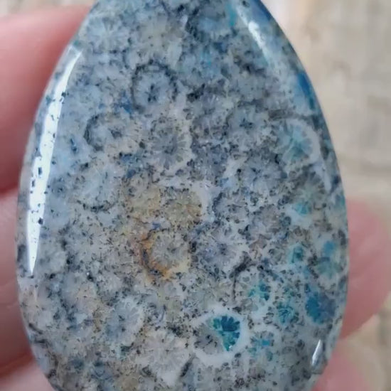 Blue Fossil Coral Jasper Pendant 48x30mm, Semi Precious Gemstone, Loose Designers Stone, Flat Back Teardrop, UK Jewelry Making Supplies M6