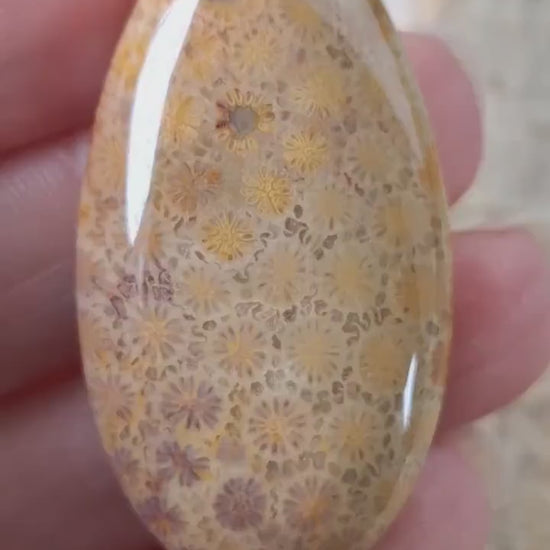 Fossil Coral Jasper Teardrop Pendant Cabochon 45x23mm, Semi Precious Gemstone, Top Drilled, Loose Stone Polished Focal Jewelry Supplies 06