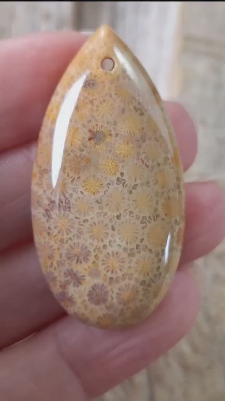 Fossil Coral Jasper Teardrop Pendant Cabochon 45x23mm, Semi Precious Gemstone, Top Drilled, Loose Stone Polished Focal Jewelry Supplies 06