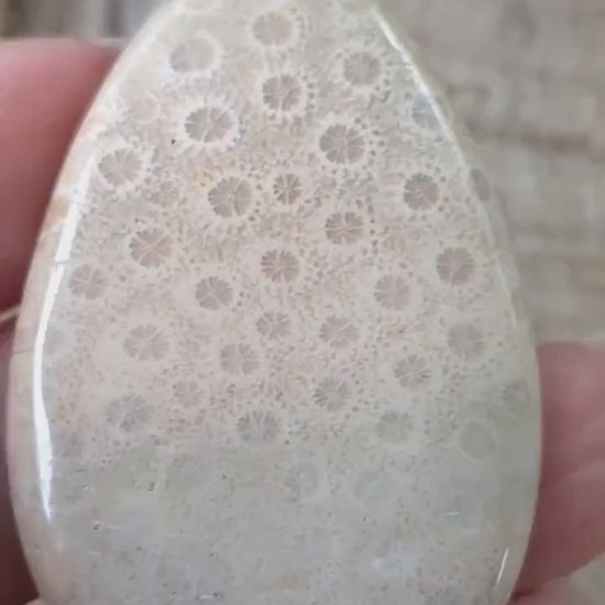 Fossil Coral Jasper Pendant 48x31mm, Semi Precious Gemstone Cabochon, Polished Top Drilled Teardrop, Loose Stone, Jewelry Making Supplies A2